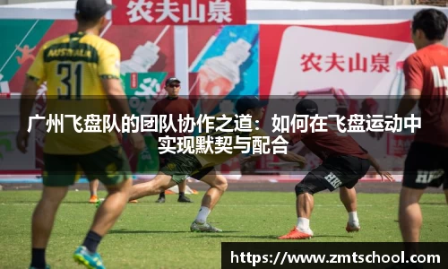 广州飞盘队的团队协作之道：如何在飞盘运动中实现默契与配合